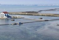 Venta - Apartamentos - San Pedro del Pinatar