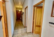 Venta - Apartamentos - Daya Nueva