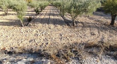 Terreno - Venta - La Romana - La Romana