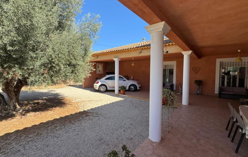 Sale - Commercieel - Albatera