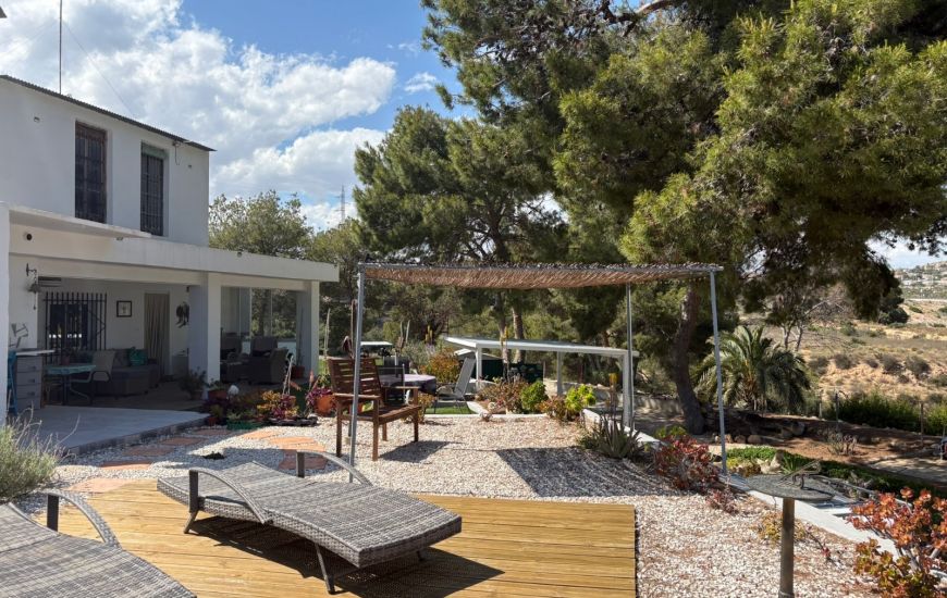 Sale - Finca - Elche