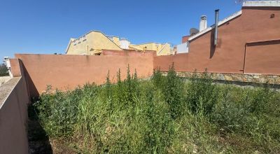 Apartments - Sale - Daya Nueva - Daya Nueva