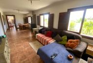 Sale - Finca - Sax