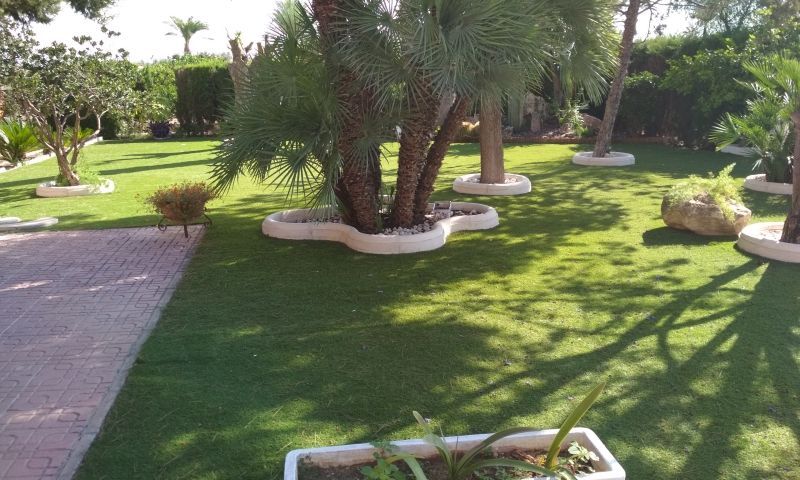 Sale - Villa - Elche