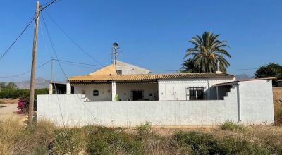 Country Property - Sale - La Murada - La Murada