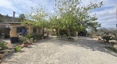 Finca - Sale - Hondon de los Frailes - Hondon de los Frailes