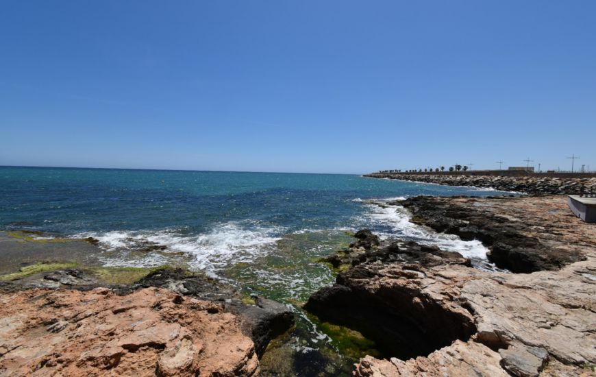 Venta - Apartamentos - Torrevieja