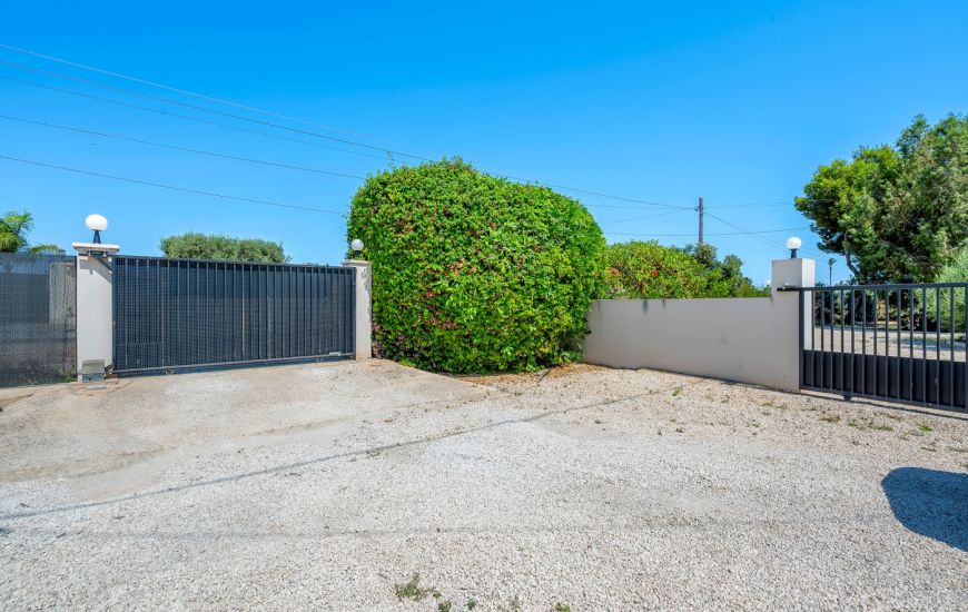 Venta - Country estate - Elche/Elx