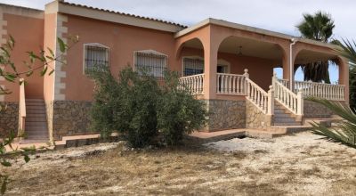 Finca - Sale - Pinoso - Pinoso