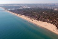 Nueva construcción  - Apartamentos - Guardamar del Segura