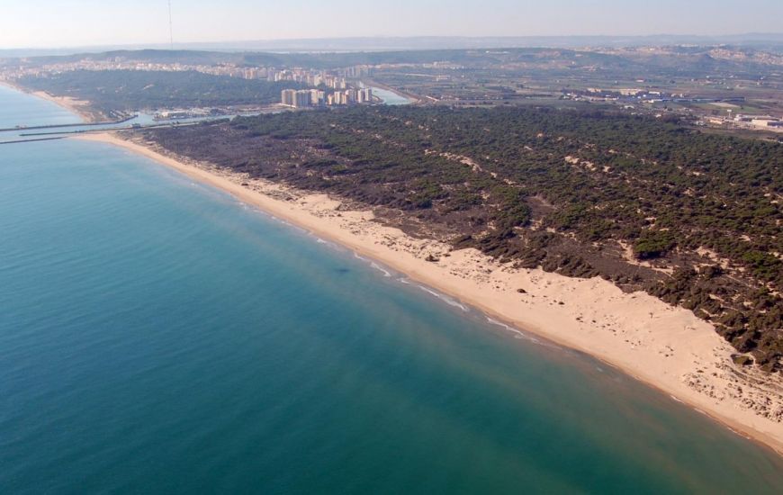Nueva construcción  - Apartamentos - Guardamar del Segura