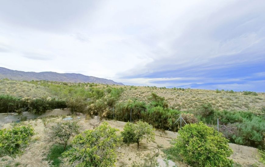 Venta - Casa Rural - Albatera