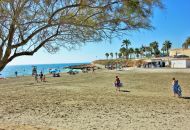 Sale - Apartments - Playa Flamenca