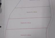 Sale - Land - Abanilla