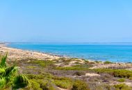 Sale - Apartments - La Mata