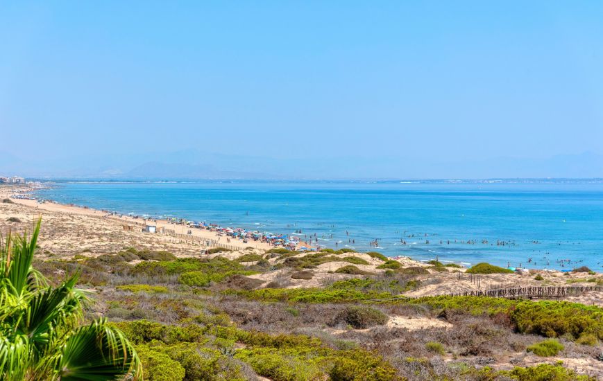 Sale - Apartments - La Mata