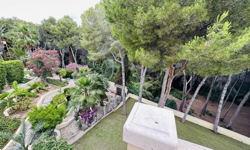 Venta - Apartamentos - 