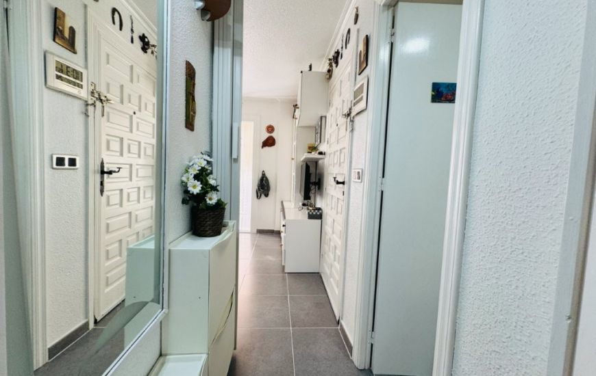 Sale - Apartments - 