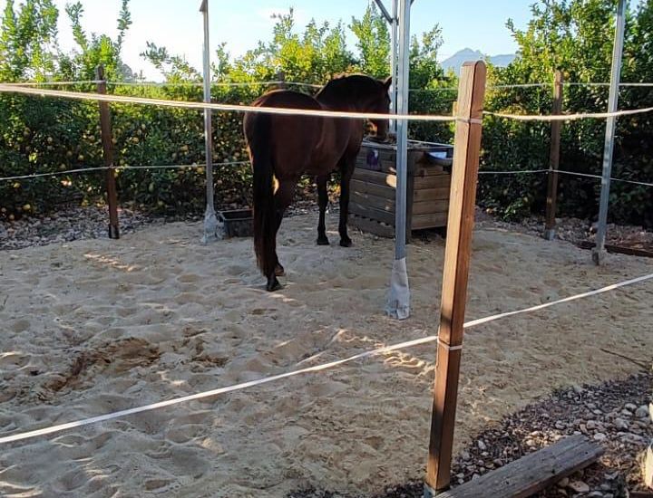 Venta - Apartamentos - Orihuela