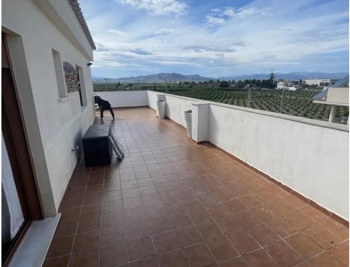 Sale - Apartments - 