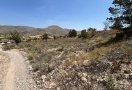 Sale - Land - Hondon de los Frailes