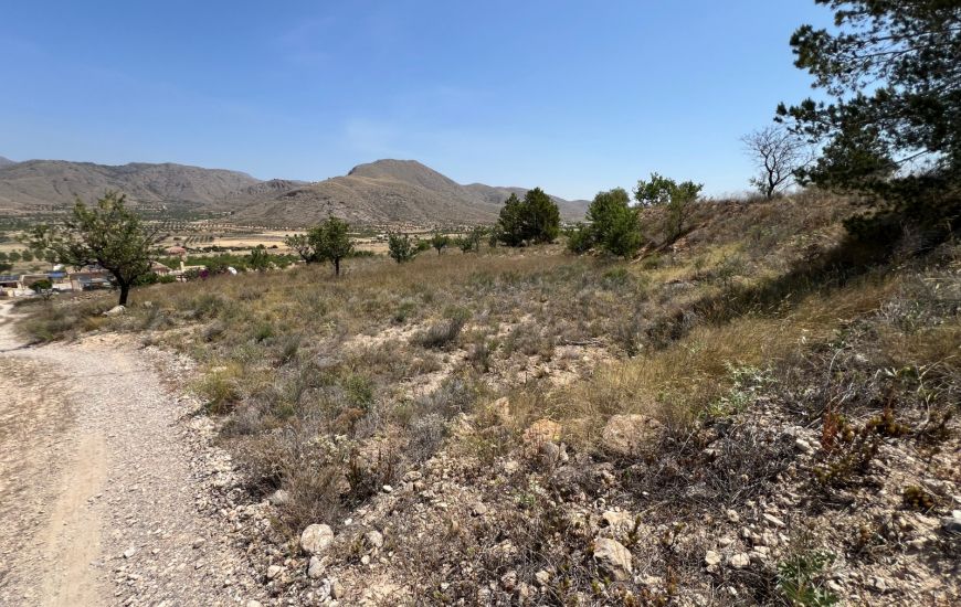 Sale - Land - Hondon de los Frailes