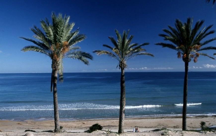 Nueva construcción  - Bungalow - Pilar de la Horadada