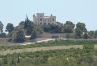 Venta - Terreno - Algorfa