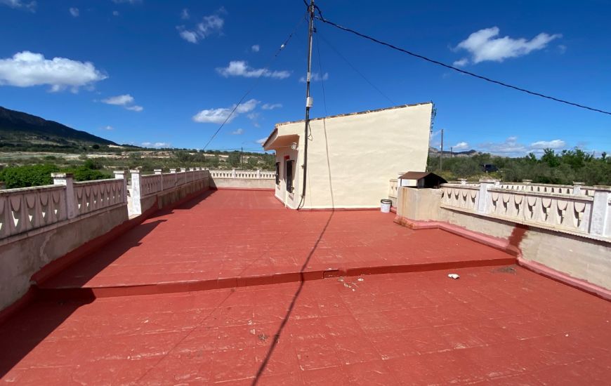 Sale - Finca - Sax