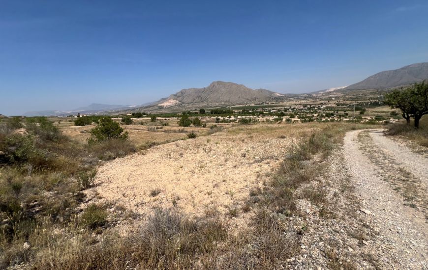 Sale - Land - Hondon de los Frailes