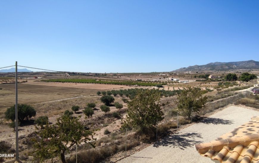 Sale - Finca - Pinoso