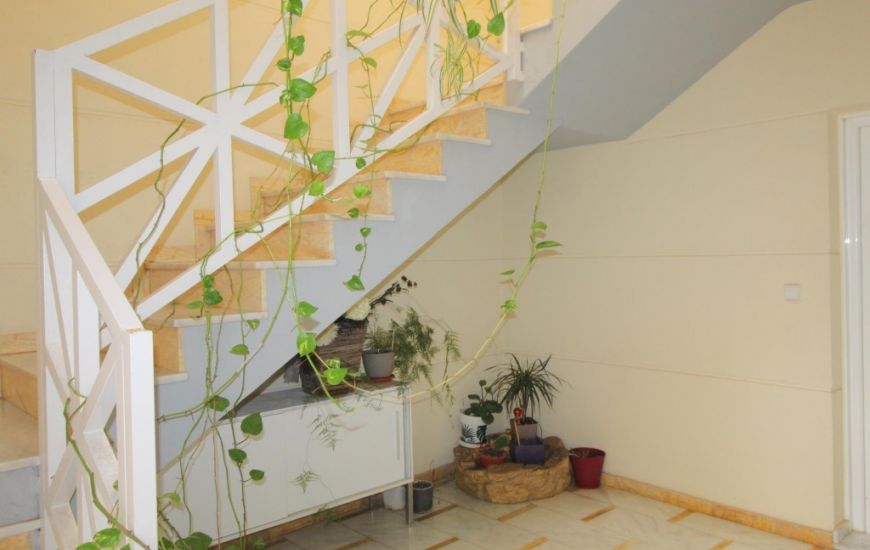 Sale - Apartments - La Veleta