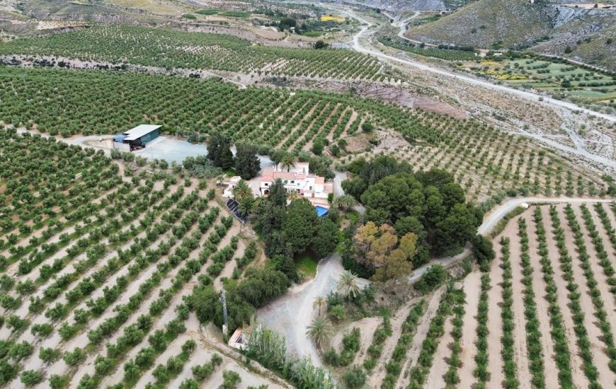 Venta - Terreno - Puerto Lumbreras