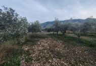 Venta - Casa Rural - Hondón de las Nieves