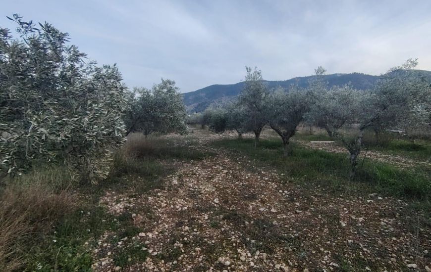 Venta - Casa Rural - Hondón de las Nieves