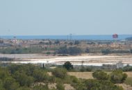 Venta - Terreno - Algorfa