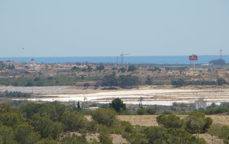 Venta - Terreno - Algorfa