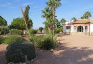 Sale - Finca - Daya Vieja