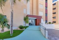 Sale - Apartments - Mil Palmerales - Mil Palmeras