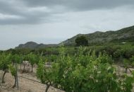 Sale - Apartments - Yecla