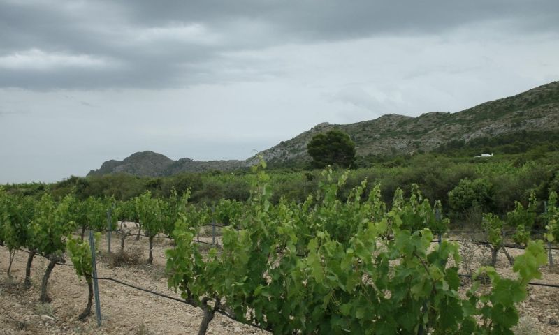 Sale - Apartments - Yecla