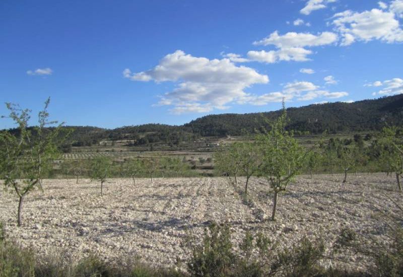 Venta - Casa Rural - Salinas