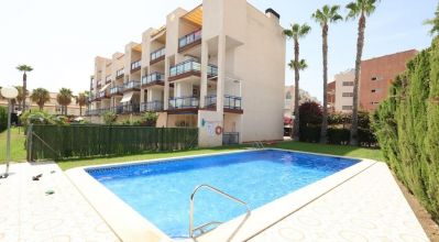 Apartamentos - Venta - Orihuela Costa - Orihuela Costa