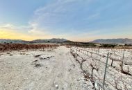 Sale - Land - Novelda