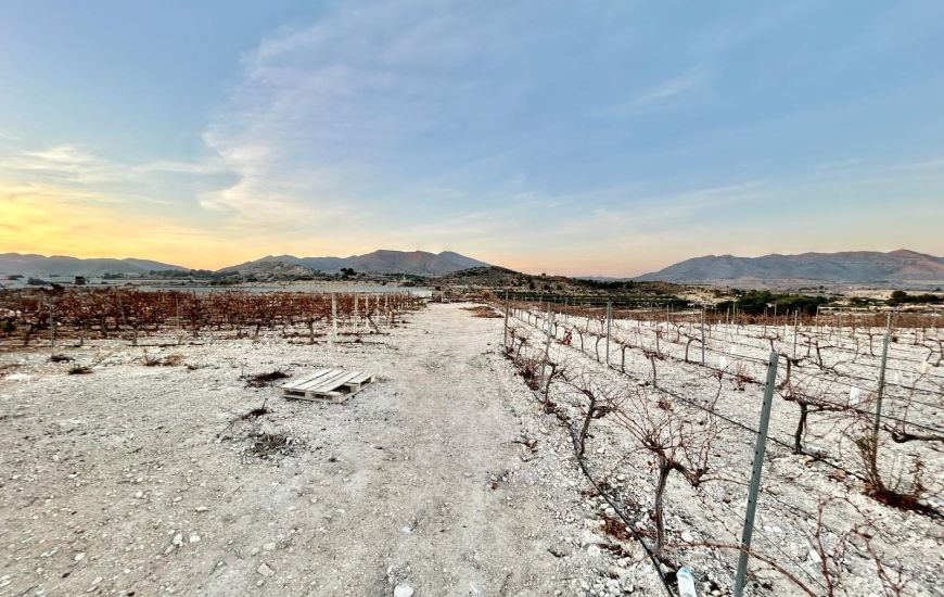 Sale - Land - Novelda