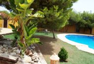 Sale - Finca - Ciudad Quesada
