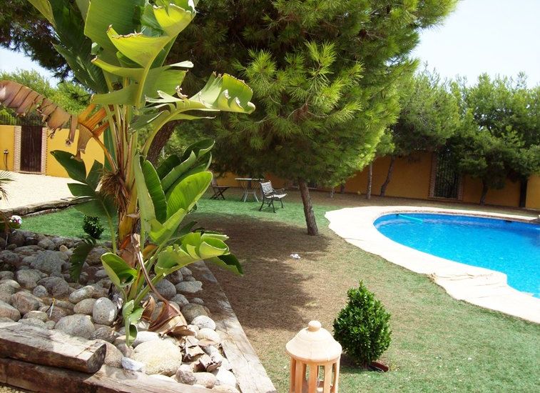 Sale - Finca - Ciudad Quesada