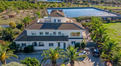 Finca - Sale - Los Montesinos - Los Montesinos