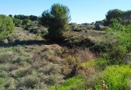 Sale - Land - Pinar de Campoverde - Pinar De Campoverde