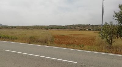 Land - Sale - Orihuela - Orihuela